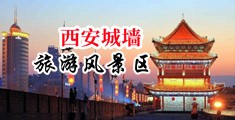 操騷逼導航中国陕西-西安城墙旅游风景区